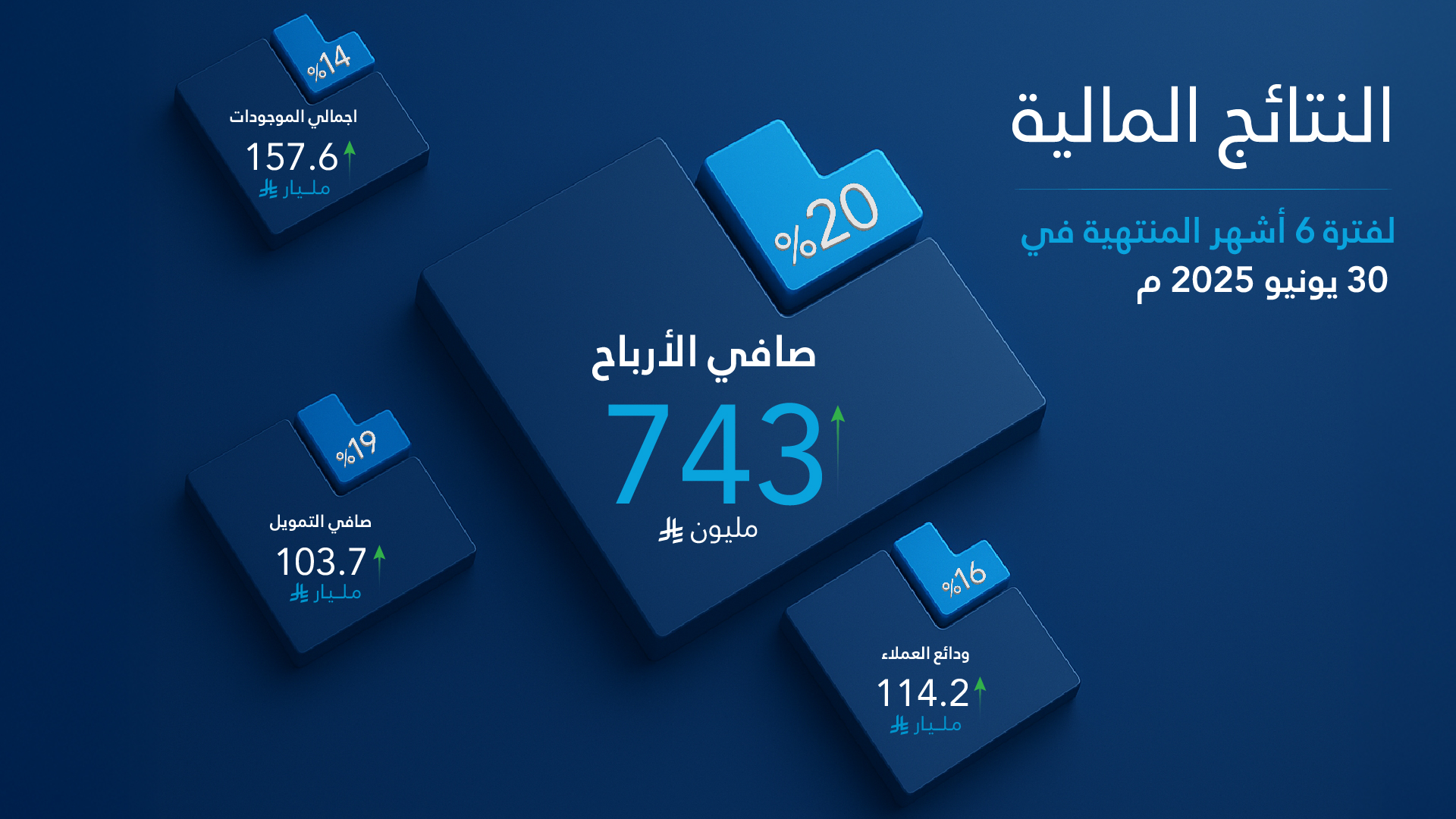 Q2 2025 Financial Results